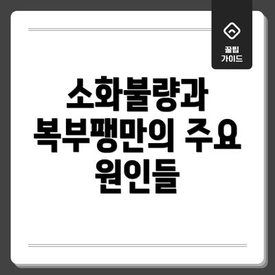 소화불량과 복부팽만의 주요 원인들