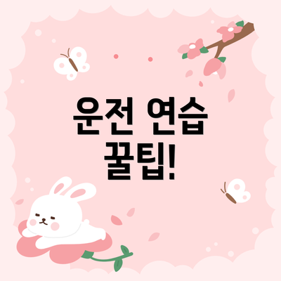 운전 연습 꿀팁!