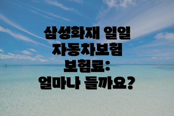 삼성화재 일일 자동차보험 보험료:  얼마나 들까요?