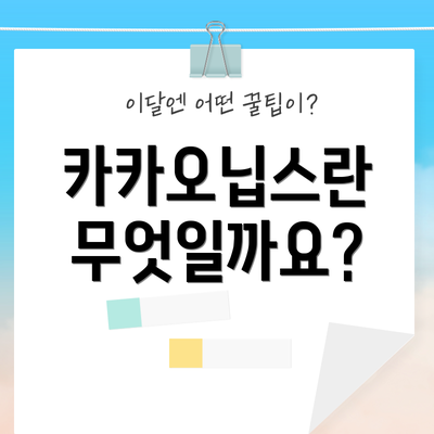 카카오닙스란 무엇일까요?