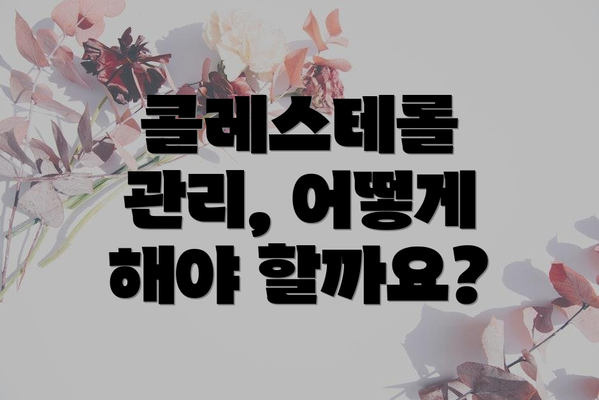 콜레스테롤 관리, 어떻게 해야 할까요?