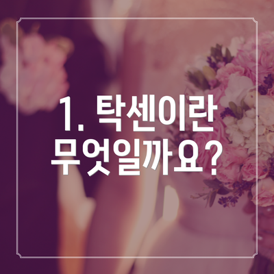 1. 탁센이란 무엇일까요?