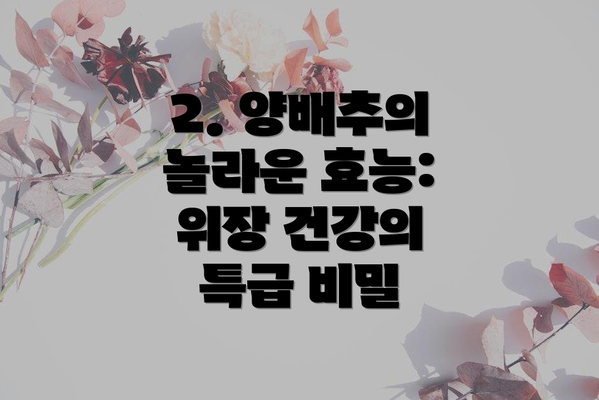 2. 양배추의 놀라운 효능: 위장 건강의 특급 비밀