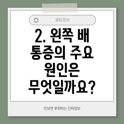 2. 왼쪽 배 통증의 주요 원인은 무엇일까요?
