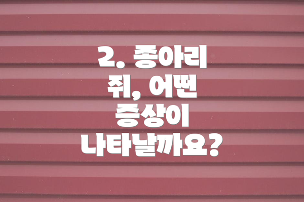 2. 종아리 쥐, 어떤 증상이 나타날까요?