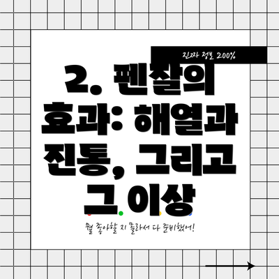 2. 펜잘의 효과: 해열과 진통, 그리고 그 이상