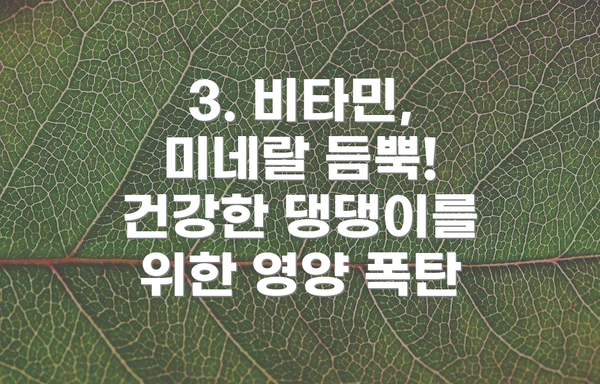 3. 비타민, 미네랄 듬뿍! 건강한 댕댕이를 위한 영양 폭탄