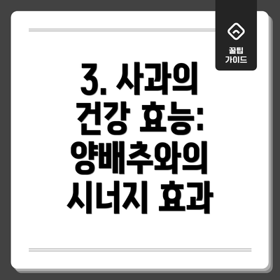 3. 사과의 건강 효능: 양배추와의 시너지 효과