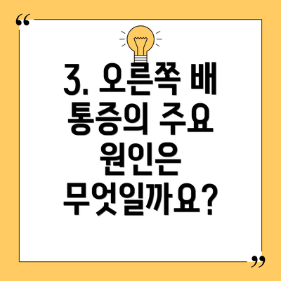 3. 오른쪽 배 통증의 주요 원인은 무엇일까요?
