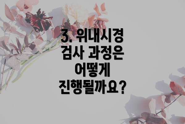 3. 위내시경 검사 과정은 어떻게 진행될까요?