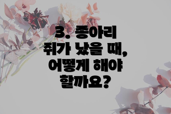 3. 종아리 쥐가 났을 때, 어떻게 해야 할까요?