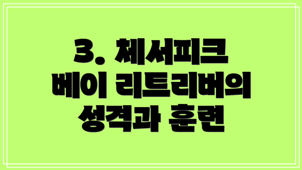 3. 체서피크 베이 리트리버의 성격과 훈련