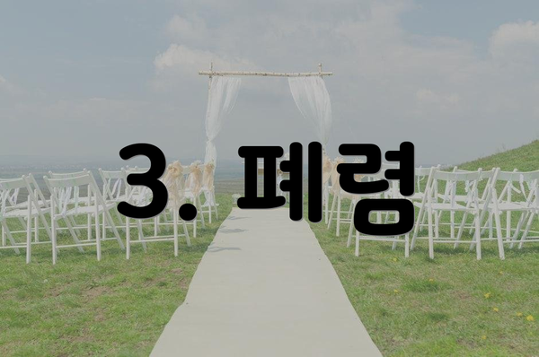 3. 폐렴