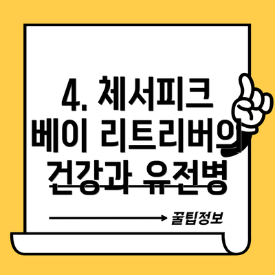 4. 체서피크 베이 리트리버의 건강과 유전병