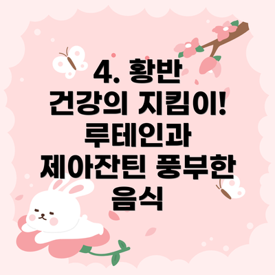 4. 황반 건강의 지킴이! 루테인과 제아잔틴 풍부한 음식