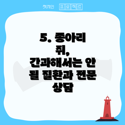 5. 종아리 쥐,  간과해서는 안 될 질환과 전문 상담