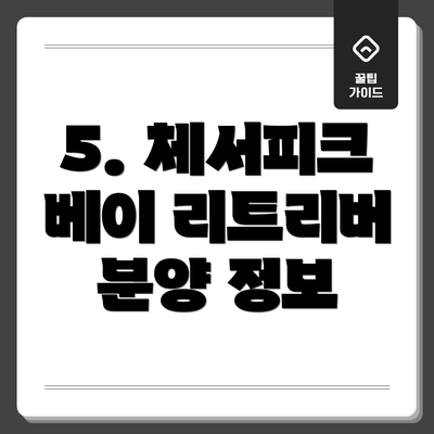 5. 체서피크 베이 리트리버 분양 정보