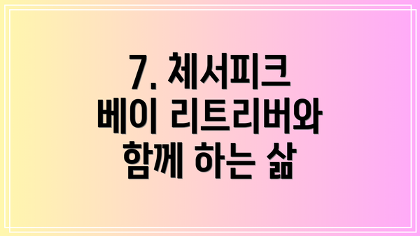 7. 체서피크 베이 리트리버와 함께 하는 삶