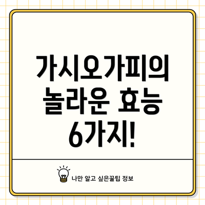 가시오가피의 놀라운 효능 6가지!