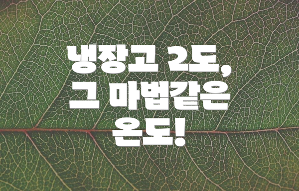 냉장고 2도, 그 마법같은 온도!