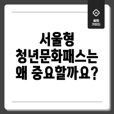 서울형 청년문화패스는 왜 중요할까요?