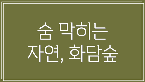 숨 막히는 자연, 화담숲