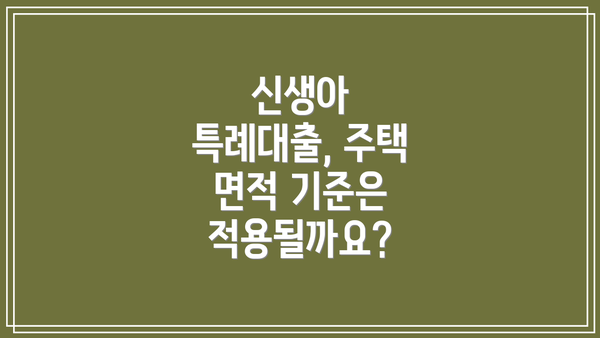 신생아 특례대출, 주택 면적 기준은 적용될까요?