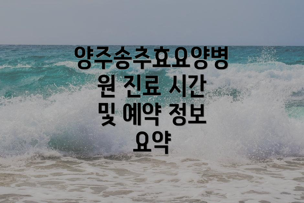 양주송추효요양병원 진료 시간 및 예약 정보 요약