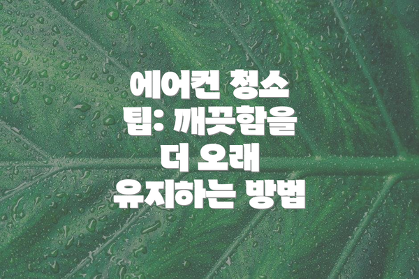 에어컨 청소 팁: 깨끗함을 더 오래 유지하는 방법