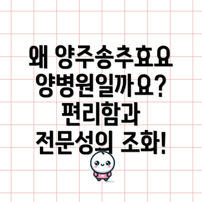 왜 양주송추효요양병원일까요?  편리함과 전문성의 조화!