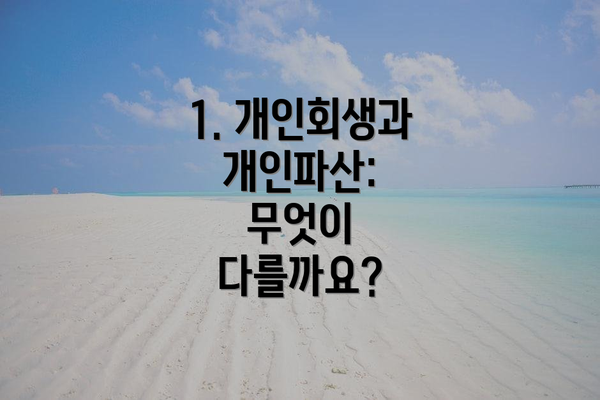 1. 개인회생과 개인파산: 무엇이 다를까요?
