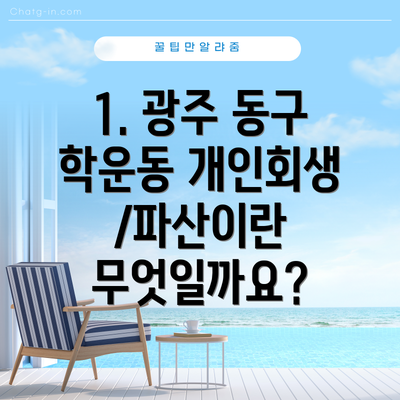 1. 광주 동구 학운동 개인회생/파산이란 무엇일까요?