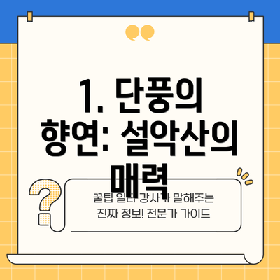 1. 단풍의 향연: 설악산의 매력