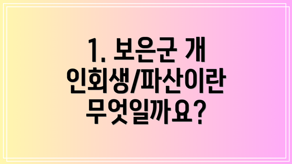 1. 보은군 개인회생/파산이란 무엇일까요?