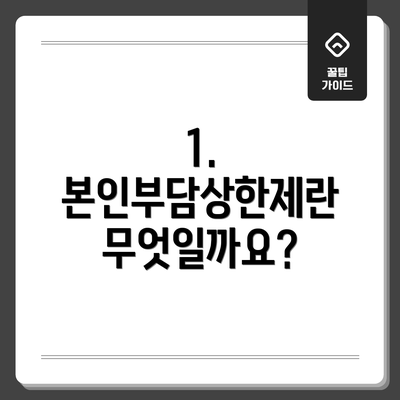 1. 본인부담상한제란 무엇일까요?