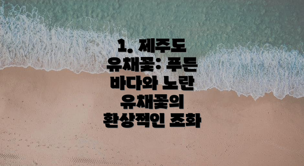 1. 제주도 유채꽃: 푸른 바다와 노란 유채꽃의 환상적인 조화