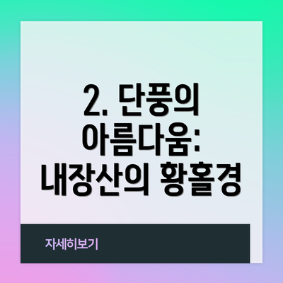 2. 단풍의 아름다움: 내장산의 황홀경