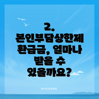 2. 본인부담상한제 환급금, 얼마나 받을 수 있을까요?