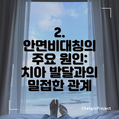 2. 안면비대칭의 주요 원인: 치아 발달과의 밀접한 관계