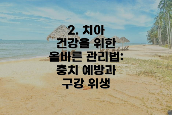 2. 치아 건강을 위한 올바른 관리법: 충치 예방과 구강 위생