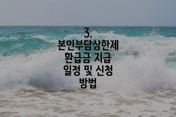 3. 본인부담상한제 환급금 지급 일정 및 신청 방법