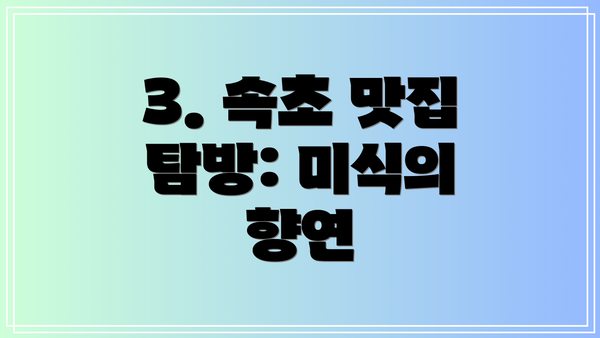 3. 속초 맛집 탐방: 미식의 향연