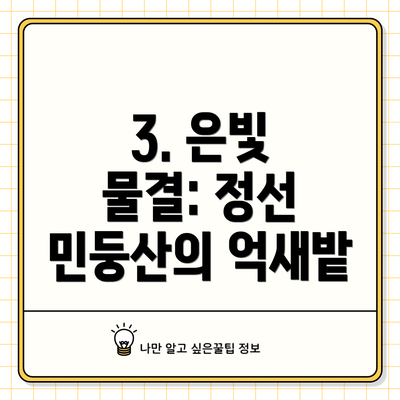 3. 은빛 물결: 정선 민둥산의 억새밭