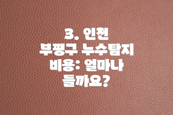 3. 인천 부평구 누수탐지 비용: 얼마나 들까요?