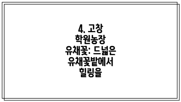 4. 고창 학원농장 유채꽃: 드넓은 유채꽃밭에서 힐링을
