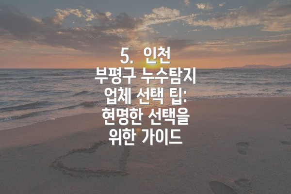 5.  인천 부평구 누수탐지 업체 선택 팁: 현명한 선택을 위한 가이드