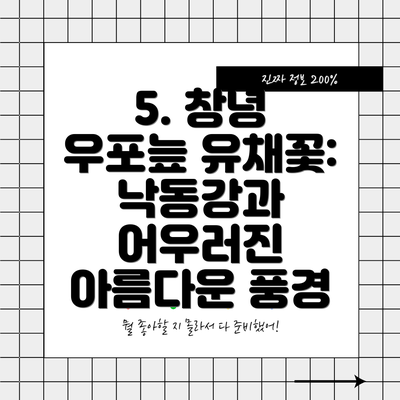 5. 창녕 우포늪 유채꽃: 낙동강과 어우러진 아름다운 풍경