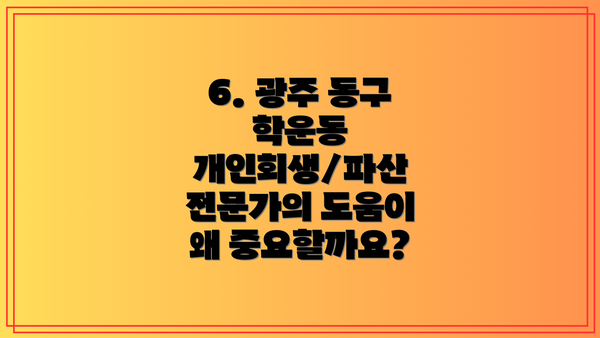 6. 광주 동구 학운동 개인회생/파산 전문가의 도움이 왜 중요할까요?