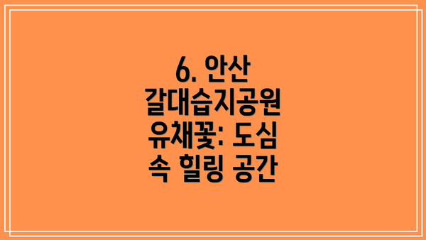 6. 안산 갈대습지공원 유채꽃: 도심 속 힐링 공간