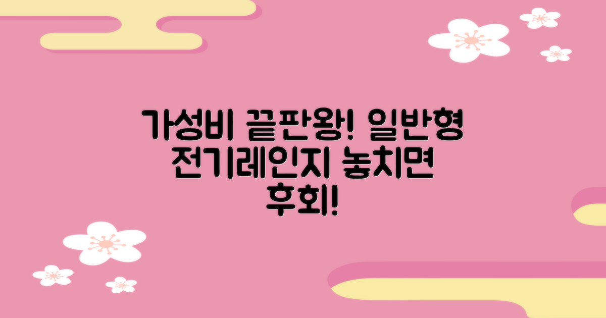 일반형 전기레인지, 가성비 최고